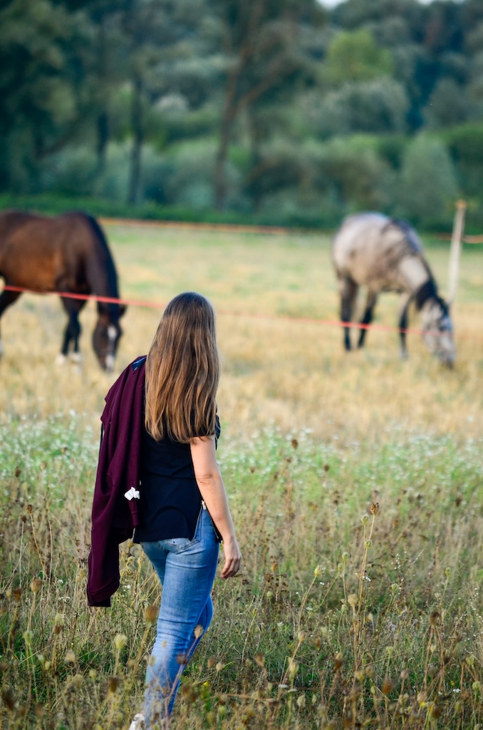 Woman in field with horses