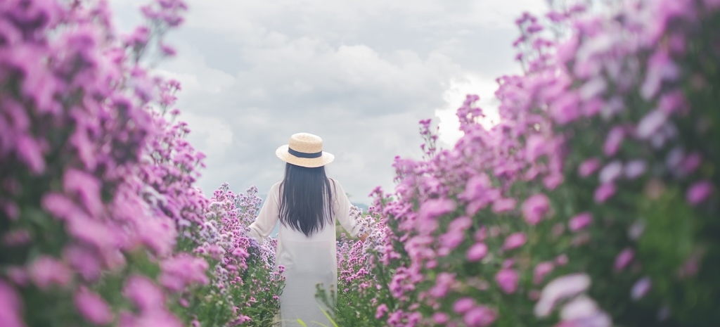 Woman walking amongst purple flowers, representing healing from domestic violence.