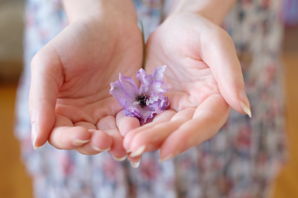 Woman with a purple delicate flower in her hand, representing healing from domestic violence